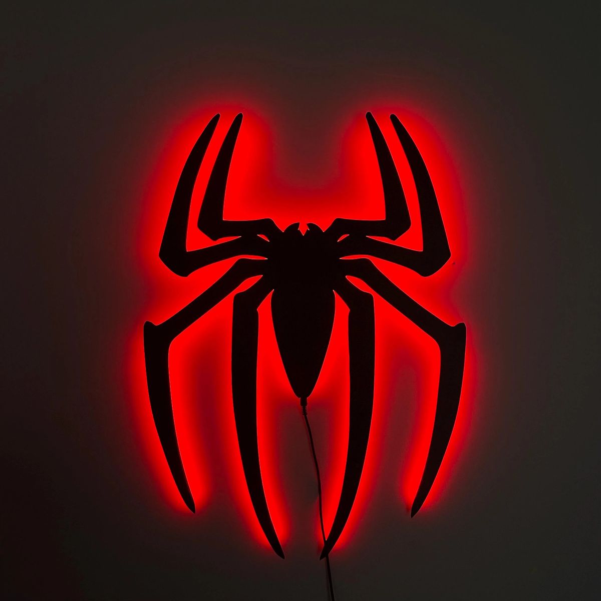 Tableau sur Mur en Alucobond